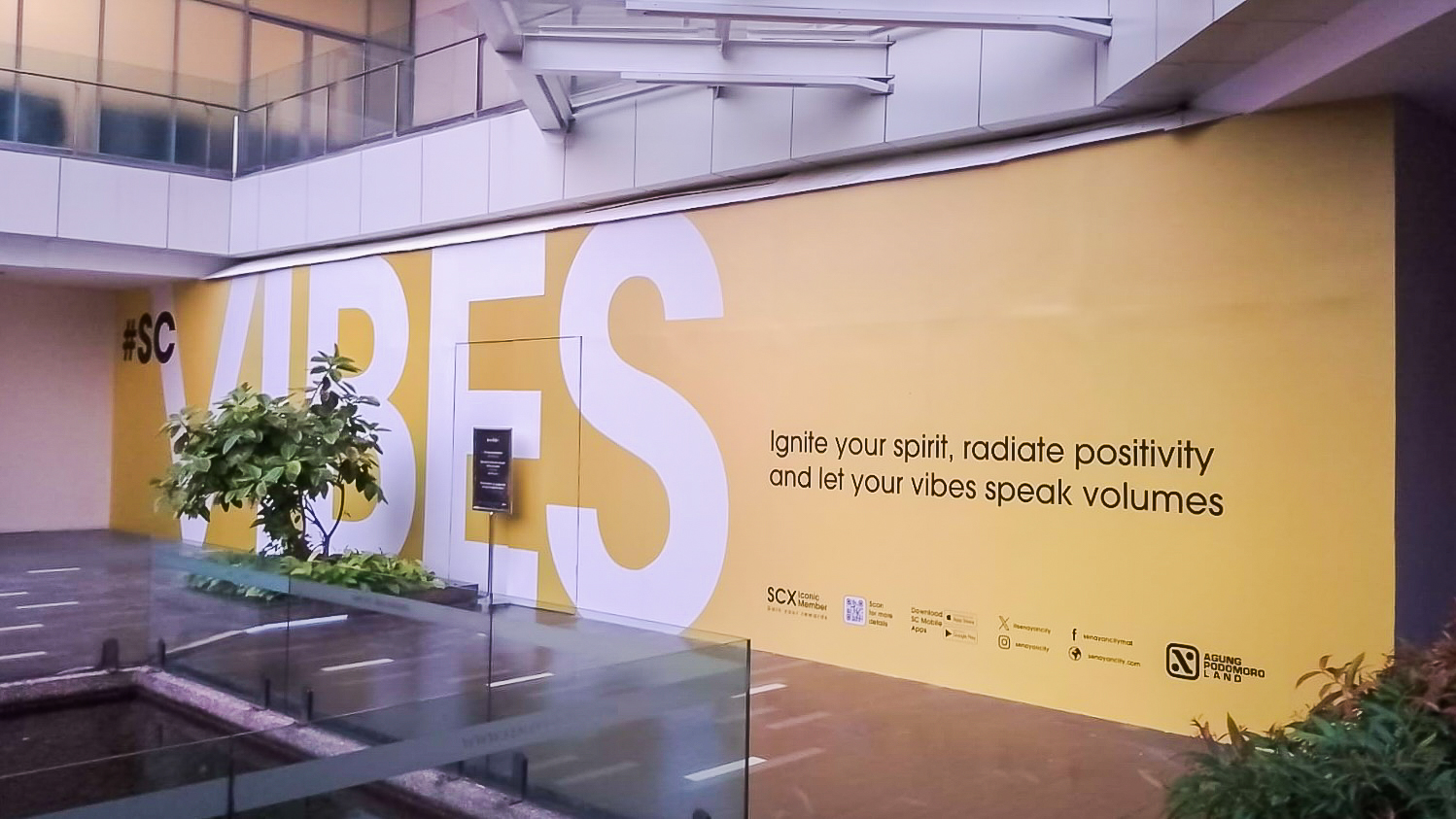 Vibes - Hoarding (1)
