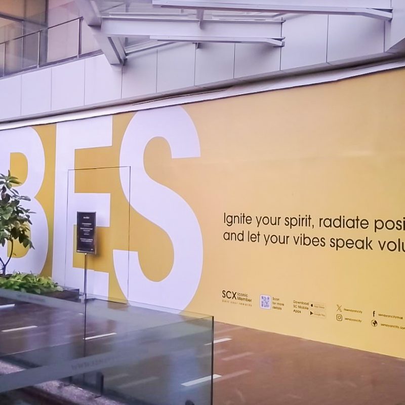 Vibes - Hoarding (1)
