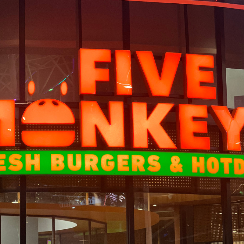 five monkeys 1200x800